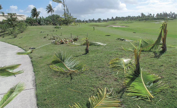 Moorea - Vandalismo en el campo de Golf de Temae - Plantas y armario destrozados