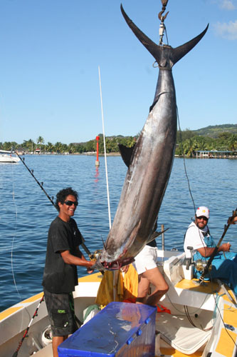 pesca tahiti fotos capturas polinesia pescado