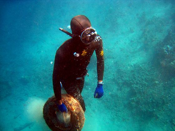 contaminacion polinesia polucion tahiti nueva victoria para incivismo tefana water days