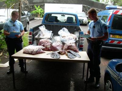 pesca tortuga polinesia caza tortuga polinesia tahiti bora bora la justicia da un buen golpe prision para los tres pescadores ilegales de tortugas y confiscación de los barcos