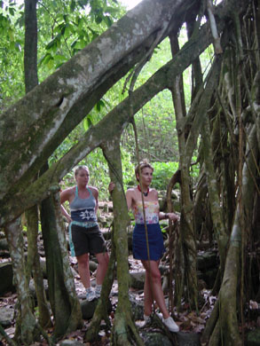 polinesia reservas naturales polinesia parques naturales marquesas ua huka Vaikivi area protegida de Ua Huka